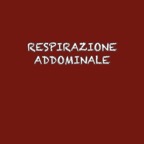 Diapositiva14.jpg