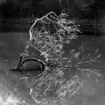 Stacks Image 63