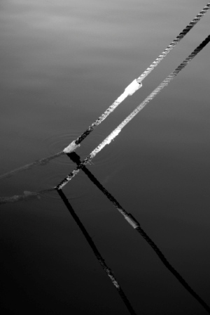 Stacks Image 26