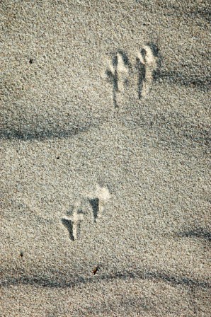 Stacks Image 45