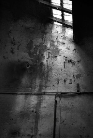 Stacks Image 18