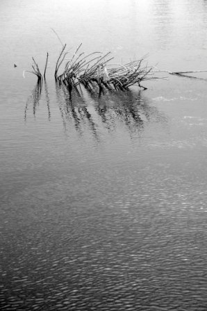 Stacks Image 24