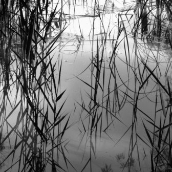 Stacks Image 65